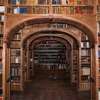 What is Cultural History?