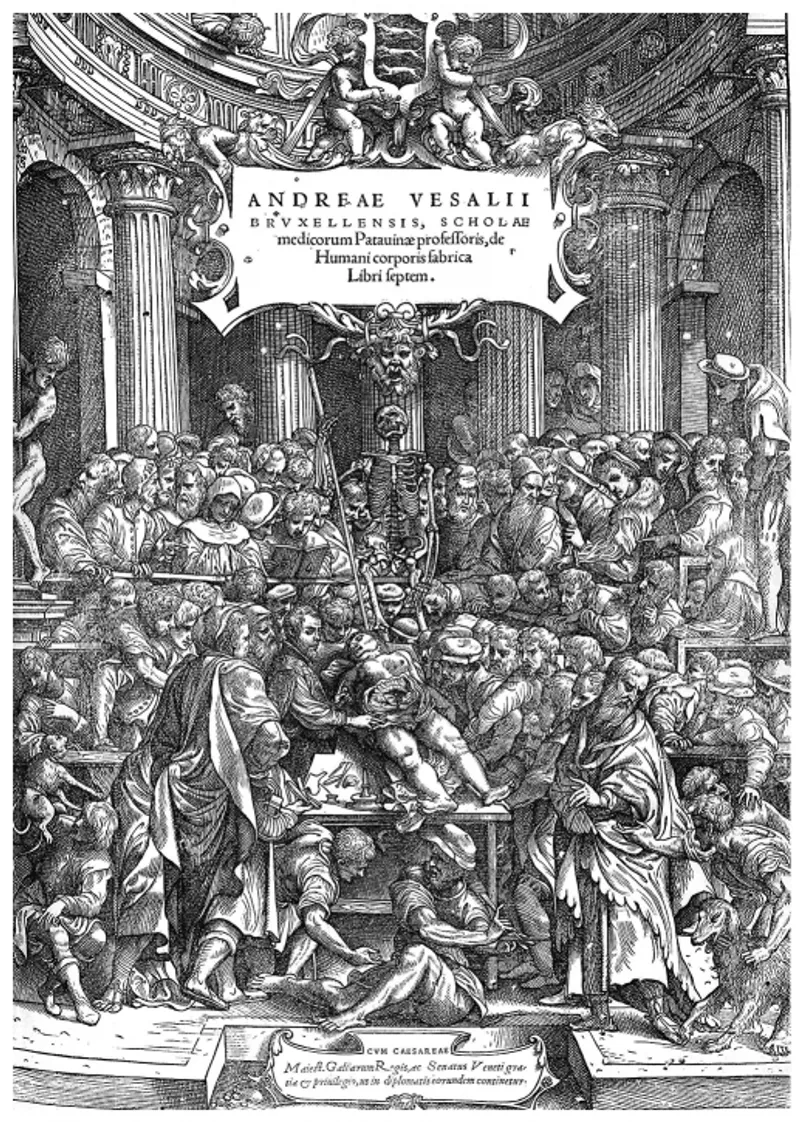 Andrea Vesali scene showing an anatomical theatre. (Public Domain)