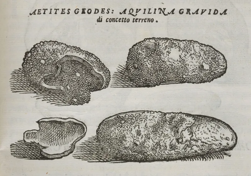Illustration of Aetites geodes