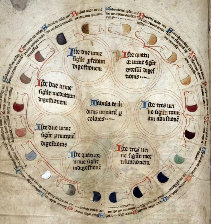 A medieval urine wheel, categorising various urine colours linked to specific medical conditions. (Bodleian Library, MS Savile 39)