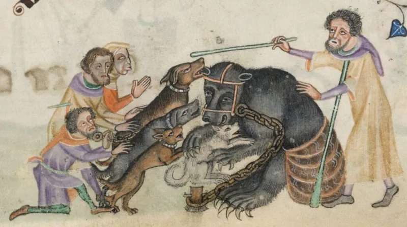 A depiction of bear baiting, a popular yet cruel form of entertainment in Tudor times. Credit: British Library.