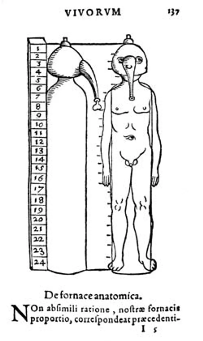 Paracelsian uroscopy, in Avrora thesavrvsqve philosophorvm […](Basel: Guarin, 1577)