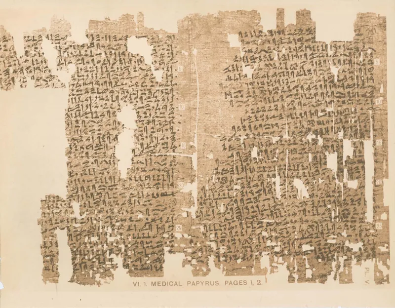 The Kahun Gynaecological Papyrus, a fragmentary ancient Egyptian medical text on papyrus dated to around 1825 BCE